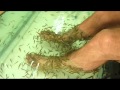 In Bangkok, My Feet are Fish Food